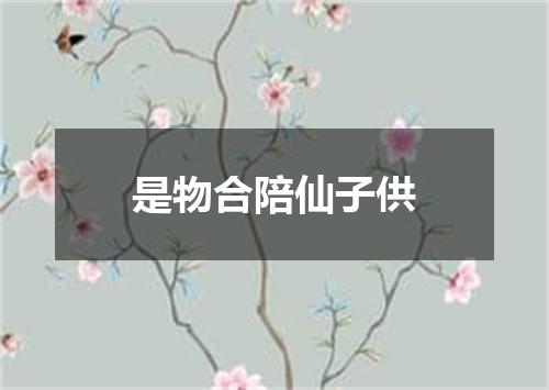 是物合陪仙子供
