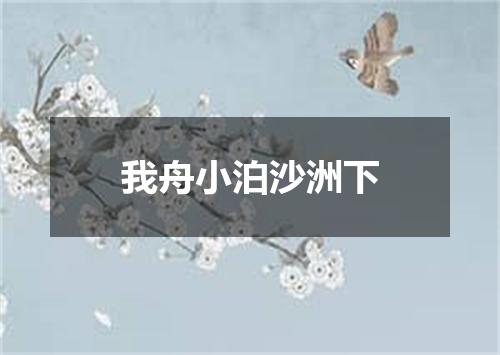 我舟小泊沙洲下
