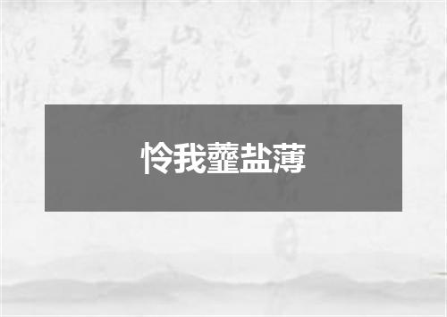怜我虀盐薄