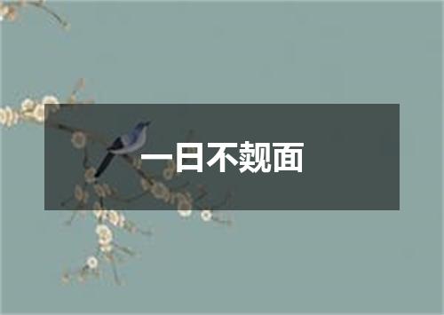 一日不觌面