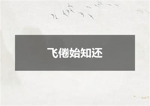 飞倦始知还