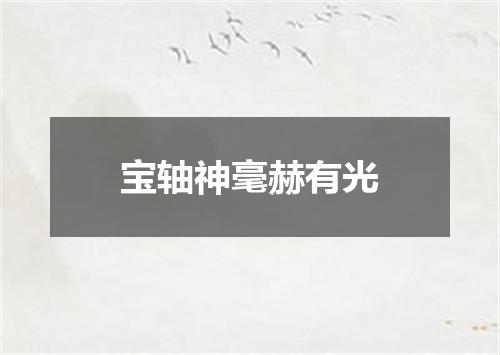 宝轴神毫赫有光