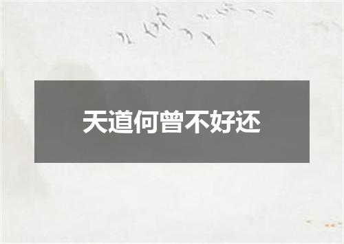 天道何曾不好还
