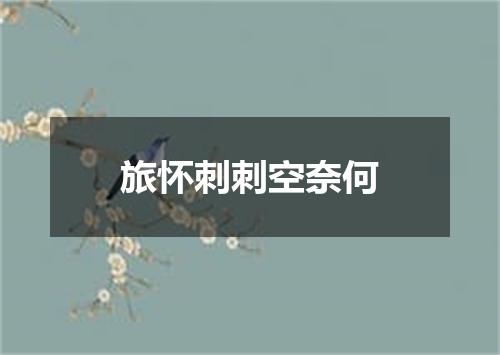 旅怀刺刺空奈何