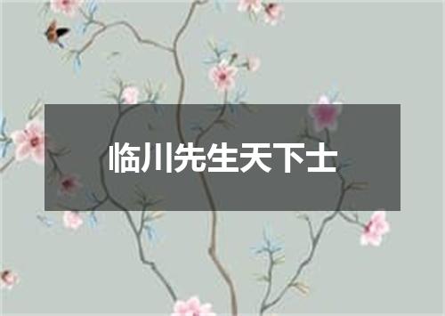 临川先生天下士