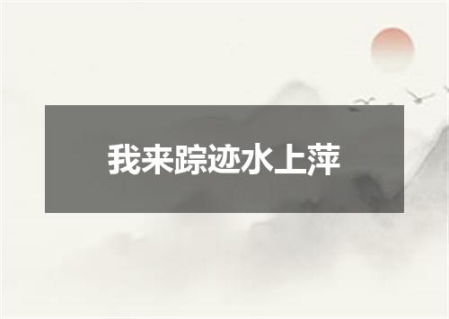 我来踪迹水上萍