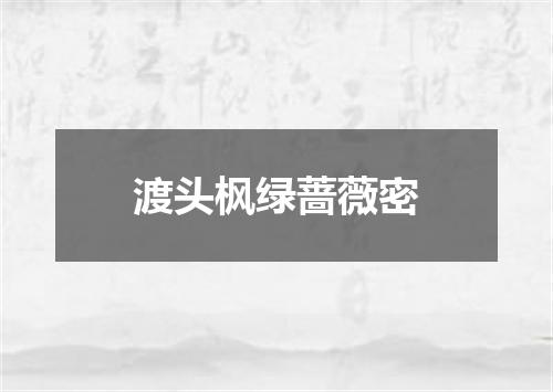 渡头枫绿蔷薇密