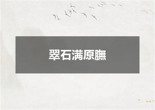 翠石满原膴