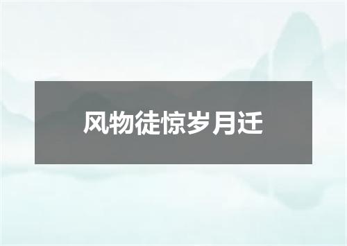 风物徒惊岁月迁