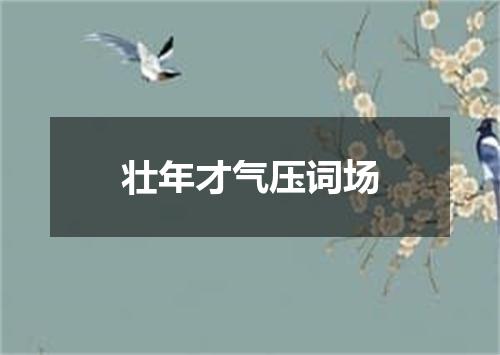 壮年才气压词场