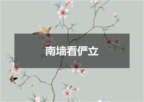 南墙看俨立