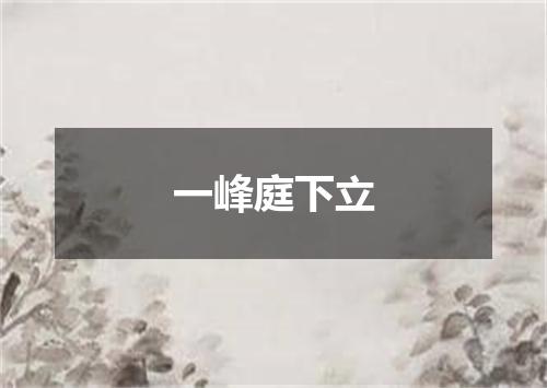 一峰庭下立
