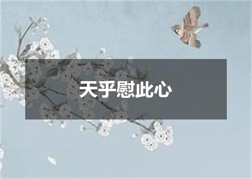 天乎慰此心
