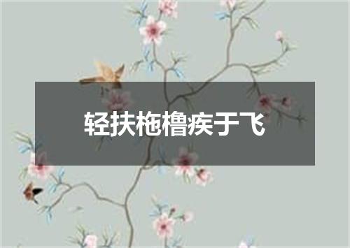 轻扶柂橹疾于飞