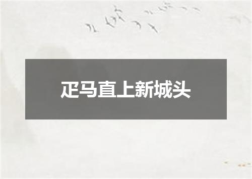 疋马直上新城头