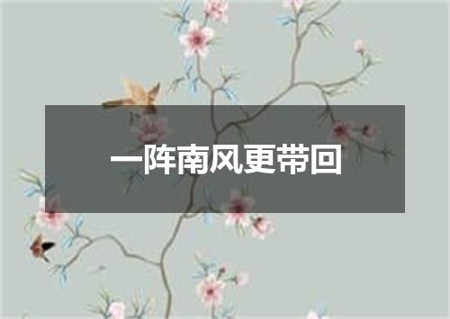 一阵南风更带回