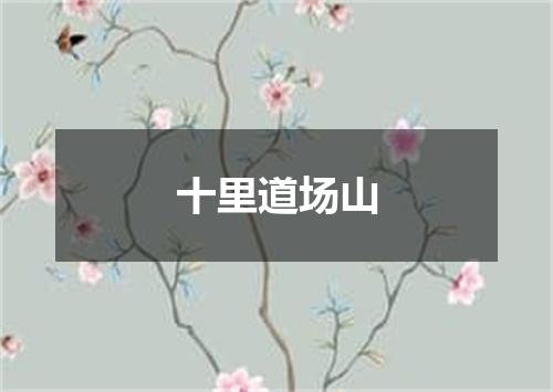 十里道场山