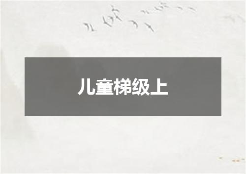 儿童梯级上