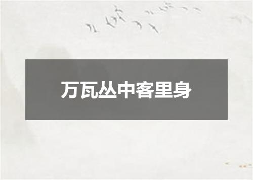 万瓦丛中客里身