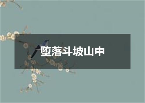堕落斗坡山中