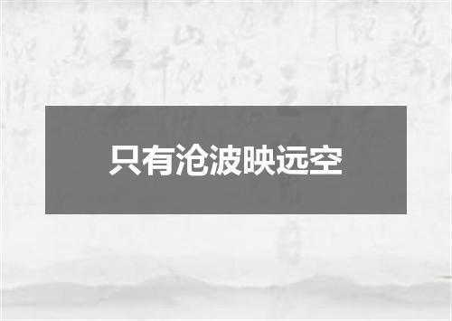 只有沧波映远空