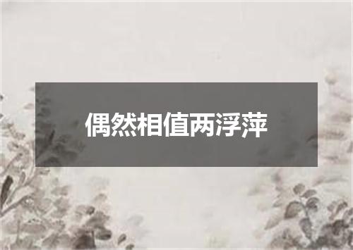 偶然相值两浮萍