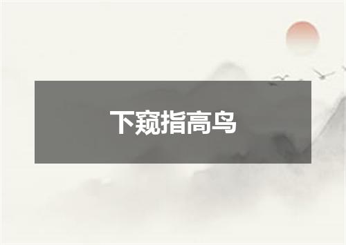 下窥指高鸟