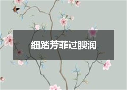 细踏芳菲过腴润