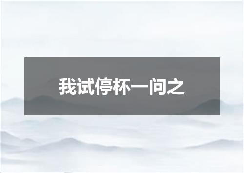 我试停杯一问之