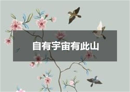 自有宇宙有此山