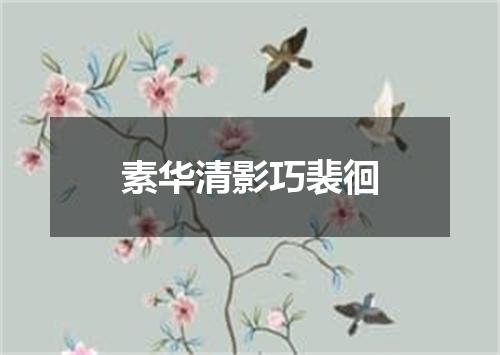素华清影巧裴徊
