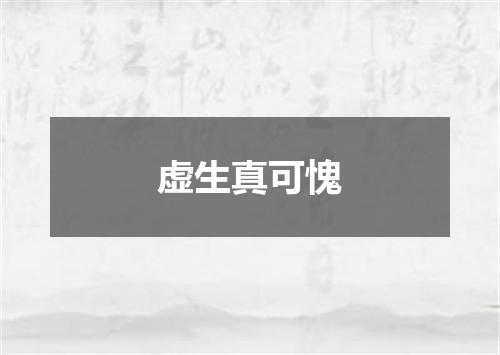 虚生真可愧