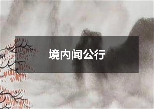 境内闻公行