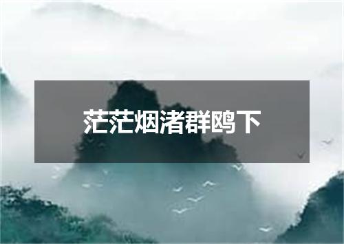 茫茫烟渚群鸥下