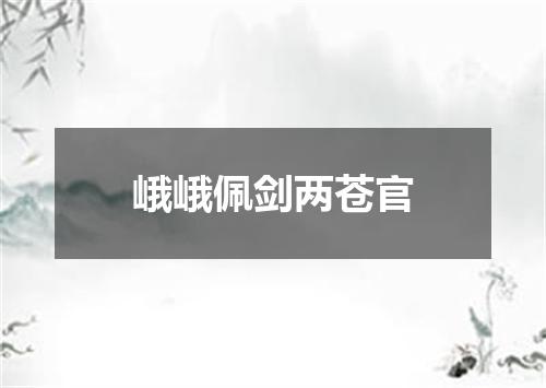 峨峨佩剑两苍官
