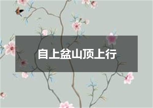 自上盆山顶上行