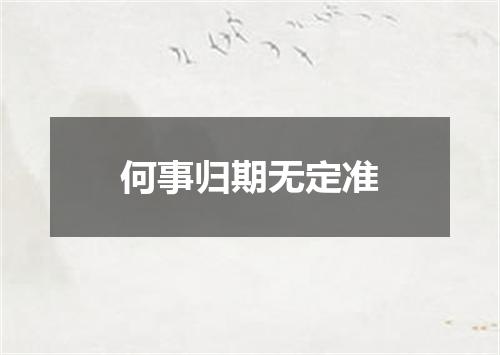 何事归期无定准