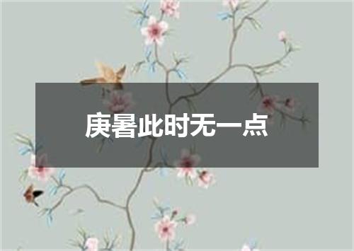 庚暑此时无一点
