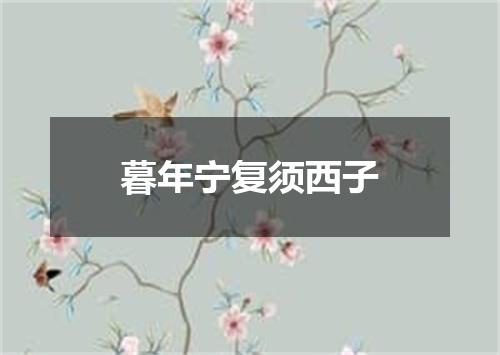 暮年宁复须西子