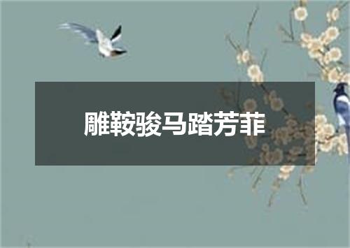 雕鞍骏马踏芳菲