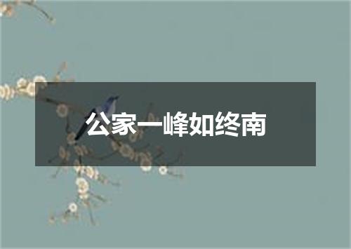 公家一峰如终南