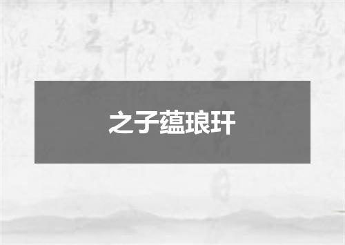 之子蕴琅玕