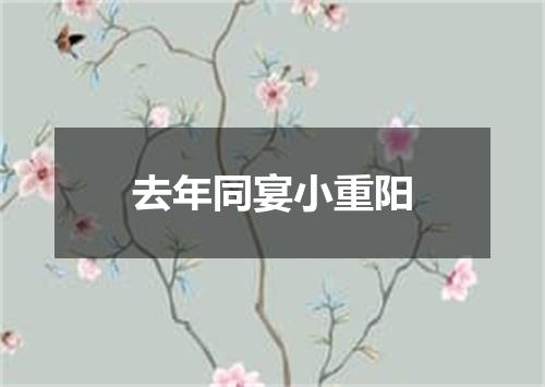 去年同宴小重阳
