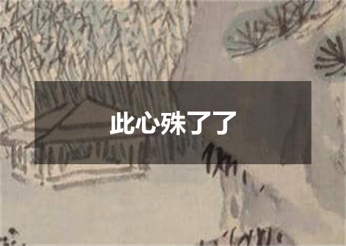 此心殊了了