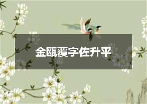 金瓯覆字佐升平