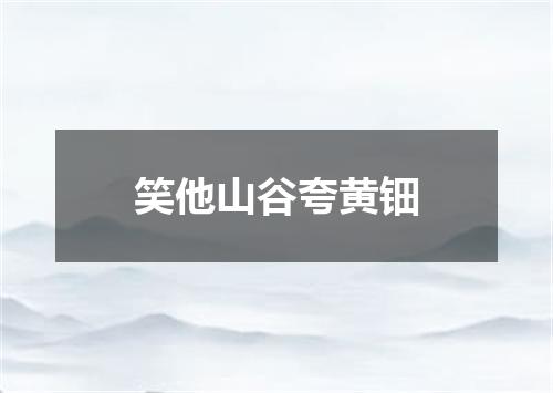 笑他山谷夸黄钿
