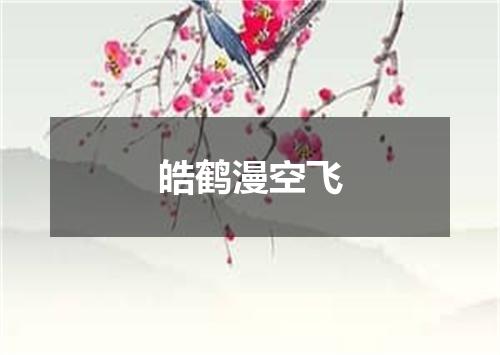 皓鹤漫空飞