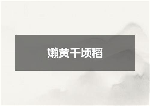 嬾黄千顷稻