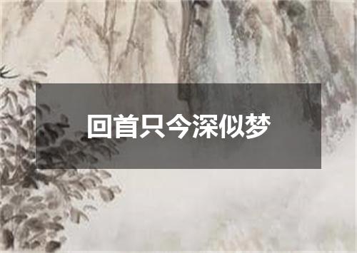 回首只今深似梦