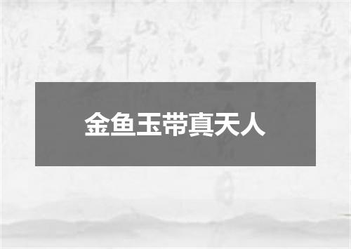金鱼玉带真天人